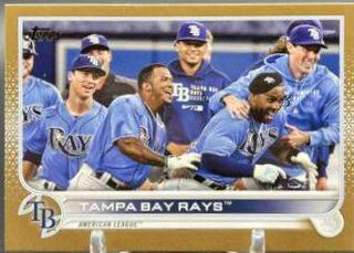 Tampa Bay Rays