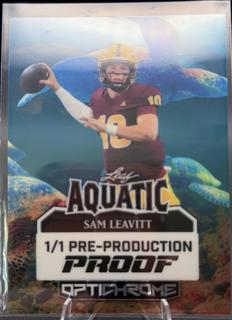 Sam Leavitt