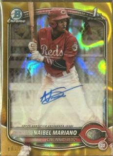 Naibel Mariano