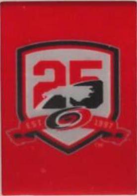 Carolina Hurricanes #376 Hockey Cards 2023 O-Pee-Chee Team Logo Patch