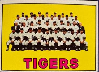 Tigers Team