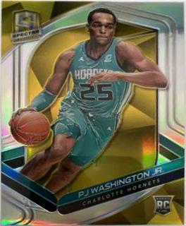 PJ Washington Jr.