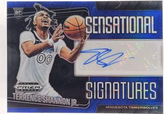 Terrence Shannon Jr.