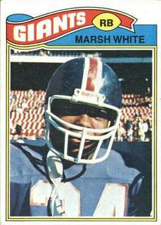 Marsh White