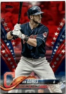 Yan Gomes