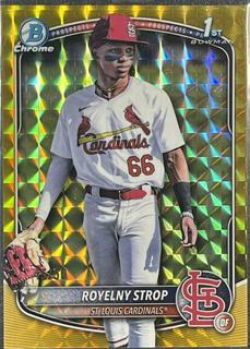 Royelny Strop