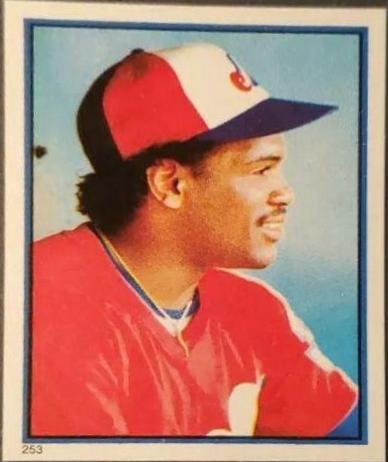 Tim Raines #253 1983 O Pee Chee Stickers Baseball