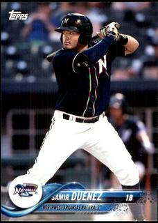 Samir Duenez