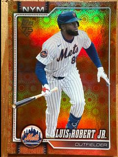 Luis Robert Jr.