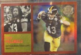 Troy Polamalu