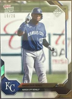 Salvador Perez