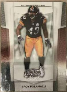 Troy Polamalu
