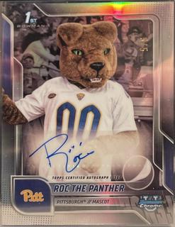 Roc The Panther