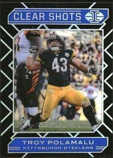 Troy Polamalu