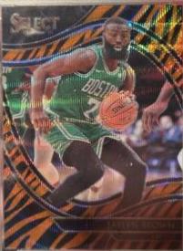 Jaylen Brown