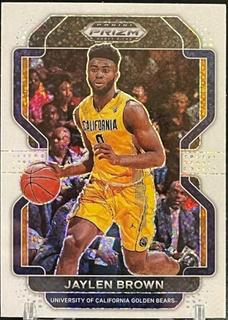 Jaylen Brown
