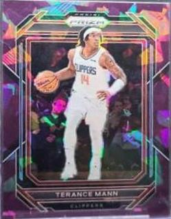Terance Mann
