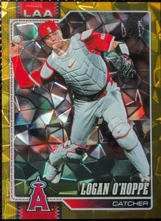 Logan O'Hoppe