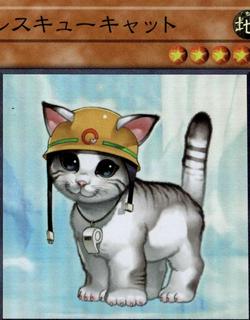 Rescue Cat QCAC-JP006