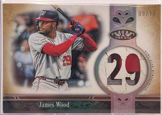 James Wood