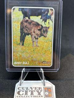 Baby Bull