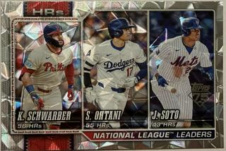 National League Leaders HRs