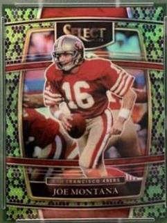 Joe Montana