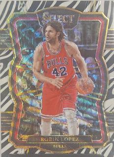 Robin Lopez