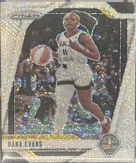 Dana Evans