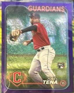 Jose Tena