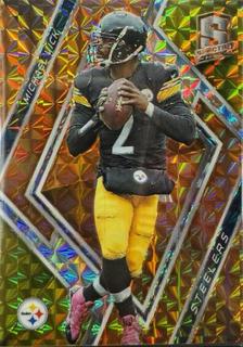 Michael Vick
