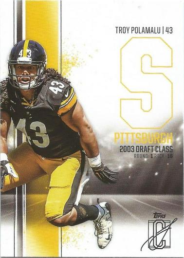 Troy Polamalu #46 Cover Art