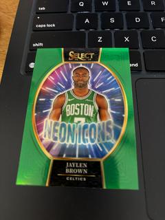 Jaylen Brown