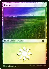 Plains [Foil] #482