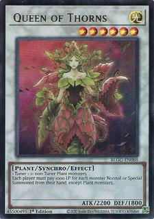 Queen of Thorns BLGG-EN088