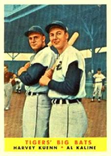 Tigers Big Bats