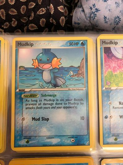 Mudkip #57 photo