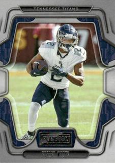 Robert Woods