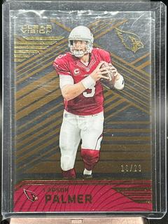 Carson Palmer