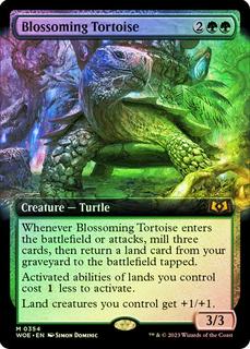 Blossoming Tortoise
