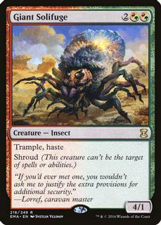 Giant Solifuge