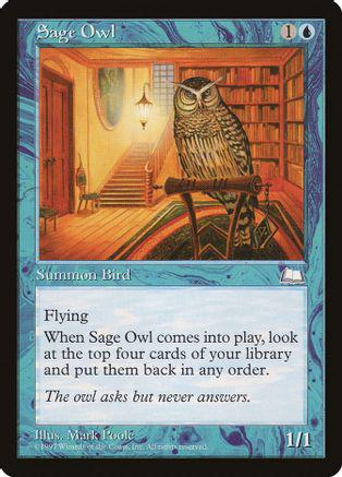 Sage Owl Magic Weatherlight