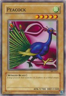Peacock SRL-011