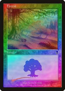 Forest
