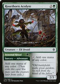 Rosethorn Acolyte & Seasonal Ritual