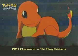 Charmander-the Stray Pokemon