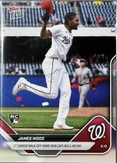 James Wood