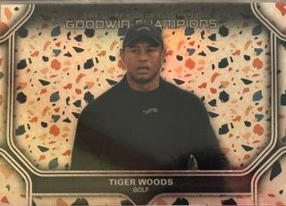 Tiger Woods