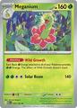 Meganium | Pokemon Mega Evolution