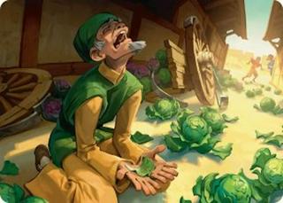Unlucky Cabbage